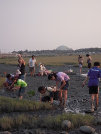 高美濕地09.JPG 高美濕地09.JPG