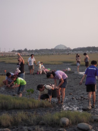 高美濕地09.JPG