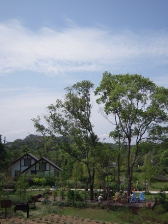 4acffa7208093 頭屋­-薰衣草森林明德水庫店