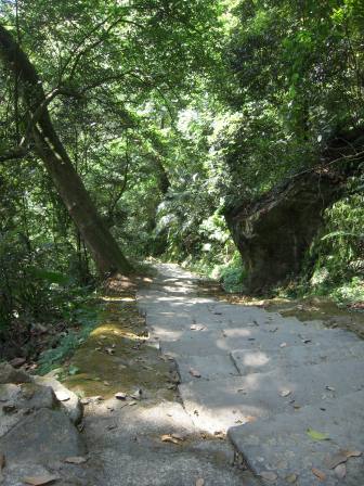 4ad1eb3c2eedf 南庄-獅頭山練腳力