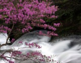 4adab604baa7a Japan-Rakuten樂天訂房