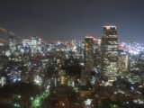 4afc178bc5220 Tokyo-東京鐵塔(Tokyo Tower, Tokyo/Nikko Day 1)
