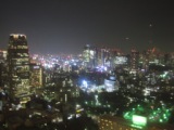 4afc179020f4c Tokyo-東京鐵塔(Tokyo Tower, Tokyo/Nikko Day 1)