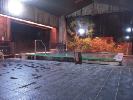 4b07a8b5e0e6e Nikko-四季彩之湯(Hotel Shikisai, Tokyo/Nikko Day 2)