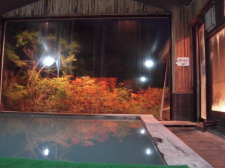4b07a8c5e8bda Nikko-四季彩之湯(Hotel Shikisai, Tokyo/Nikko Day 2)