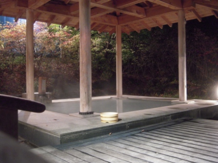 4b07a8d91fd31 Nikko-四季彩之湯(Hotel Shikisai, Tokyo/Nikko Day 2)