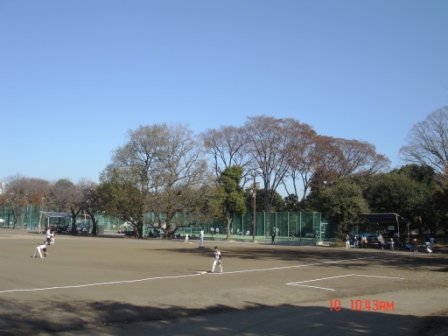 4b0fdfc4ef992 Tokyo-神宮外苑前銀杏並木(Tokyo/Nikko Day 4)