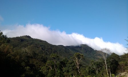 油羅溪森林花園30.jpg