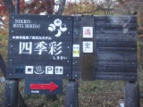 4b2a43ae4cf7b 2009東京日光行全記錄 (Tokyo+Nikko)