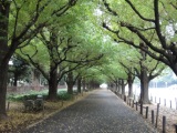 4b2a468cbebbe 2009東京日光行全記錄 (Tokyo+Nikko)