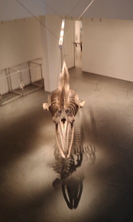 4b2c5bd7d9686 New York-MOMA(現代藝術博物館)