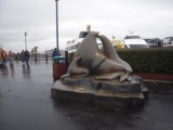 4b373e2900ea4 San Francisco-Fisherman’s Wharf漁人碼頭