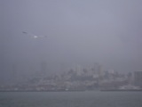 4b37428fe8684 San Francisco-地中海風情Sausalito