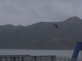 4b3742c50f318 San Francisco-地中海風情Sausalito