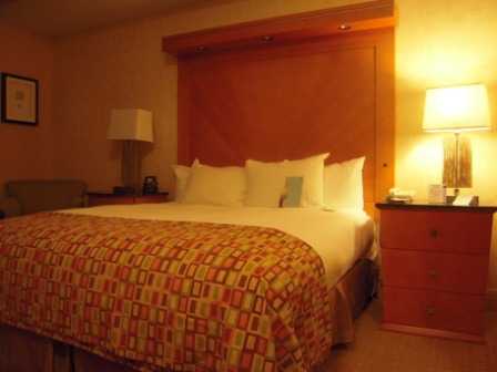 4b40a9d947cc2 USA-Check in, Check out, Hotel’s traveler