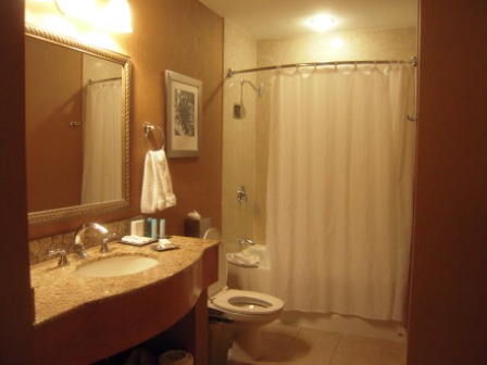 4b40a9e3a3481 USA-Check in, Check out, Hotel’s traveler