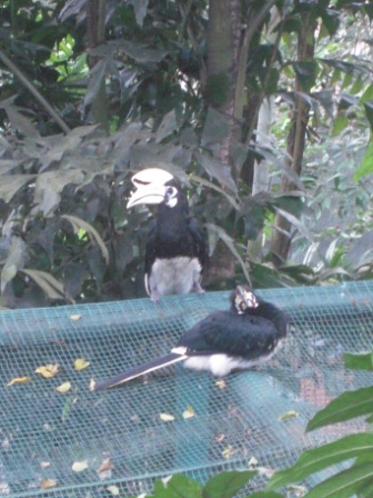 4b51bcffbb426 Kuala Lumpur-吉隆坡也是花園城市