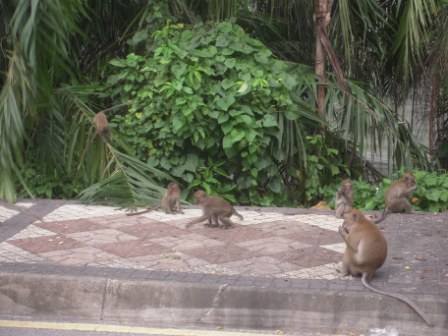 4b51bd06c7c79 Kuala Lumpur-吉隆坡也是花園城市
