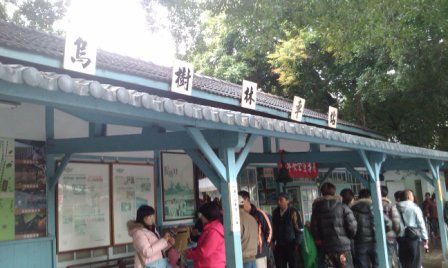 4ba76a1eab7db 後壁-烏樹林五分車