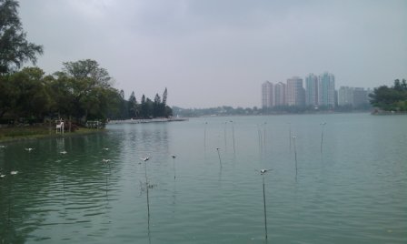 4bb724e2c8c10 鳥松-澄清湖走到腳很累