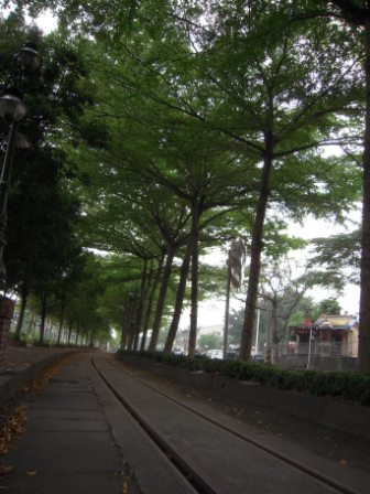 4bca7ecbd44c5 集集-小火車與集集市區