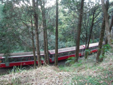 537e0d14f507c91543a2aaedbc8e9e22 阿里山-百年日出
