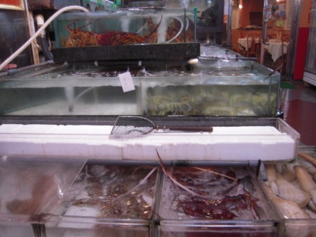 6c069634ac536e25094c6c3d8b754d20 HK-鯉魚門漁村風光