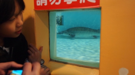712b71cd35b4dbd6e8368856a9a8d1e8 蘇澳- 2011綠色博覽會