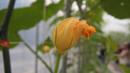 7bd7541372ea2bccdeb304fc707bd9b5 蘇澳- 2011綠色博覽會