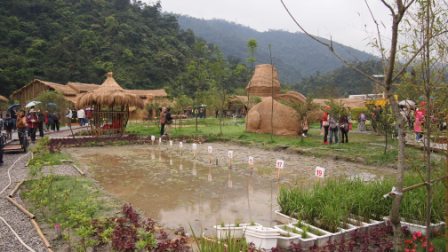 95b0e572a1025d94407496214174369e 蘇澳- 2011綠色博覽會