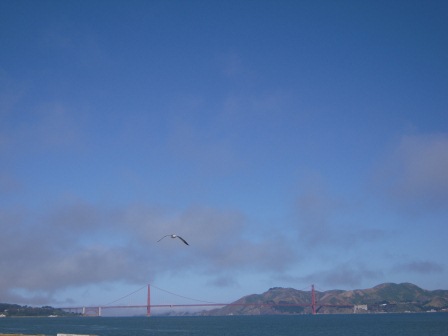 a773b23496b3b06d493bb81c6de36cf6 San Francisco-Bike the Bridge 騎鐵馬橫跨金門大橋 陽光躍眼美景如畫(Part 1)