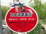 bd6104665aea53cce1d3d5718ccdefdb 關西-金勇DIY蕃茄農場