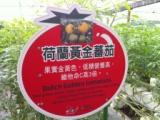 d1a2c1b3a2eb012274e11b3172c63fe0 關西-金勇DIY蕃茄農場
