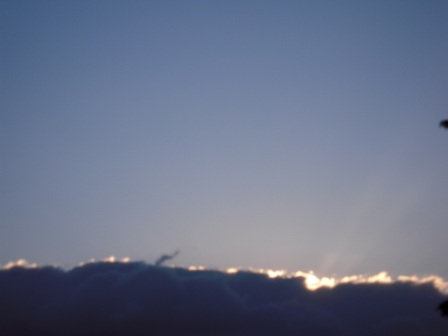 da4a8b5047c9c09067b966a573ca3af6 阿里山-百年日出