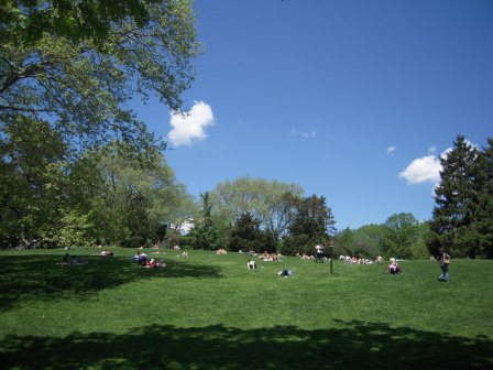 e0d7725a3f6deb4b0ed28a58e38fb610 New York-第五大道/中央公園/布魯克林大橋