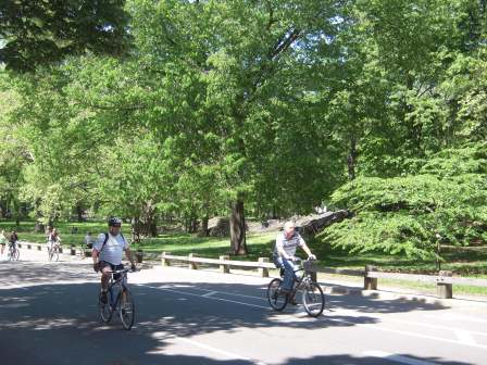 ecfa5920166733919fc15a7f08dd1018 New York-第五大道/中央公園/布魯克林大橋