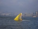 f4ba5ba1a57ab6de58f144c84e953803 2010香港週末遊