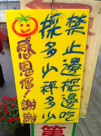 f50efe5e9ce3a5b0ade2dc6d4a9f7459 關西-金勇DIY蕃茄農場