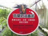 ffe223e5ef2f17d825e88aefd1d37eb8 關西-金勇DIY蕃茄農場