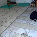 DSC00006
