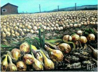 33174541_778211502380614_1417760836029513728_n.jpg 33174541_778211502380614_1417760836029513728_n.jpg