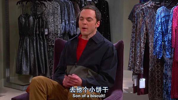 生活大爆炸.The.Big.Bang.Theory.S08E12.中英字幕.HDTVrip.1024X576.mkv_000489546.jpg