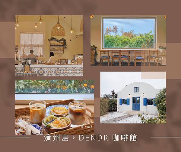 濟州島， Dendri咖啡館 #橘子園咖啡 #摘橘子體驗