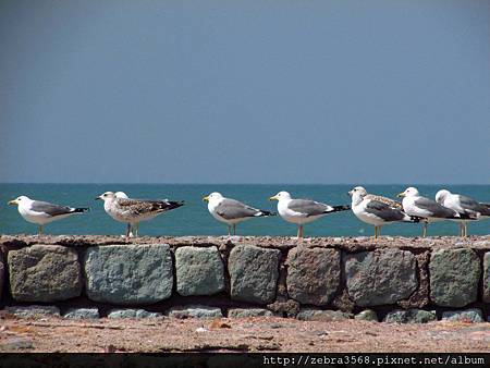 Hormuz Island - 葡萄牙海堡