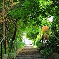 Green Path in Bratislava