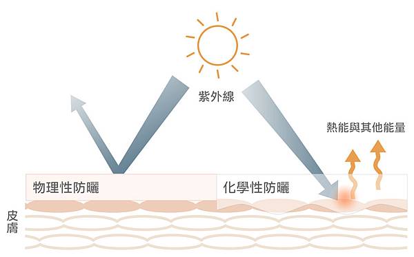 防曬圖表-物理化學性full-sun.jpg