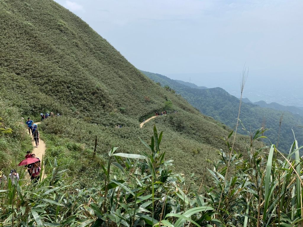 抹茶山 (8).jpg