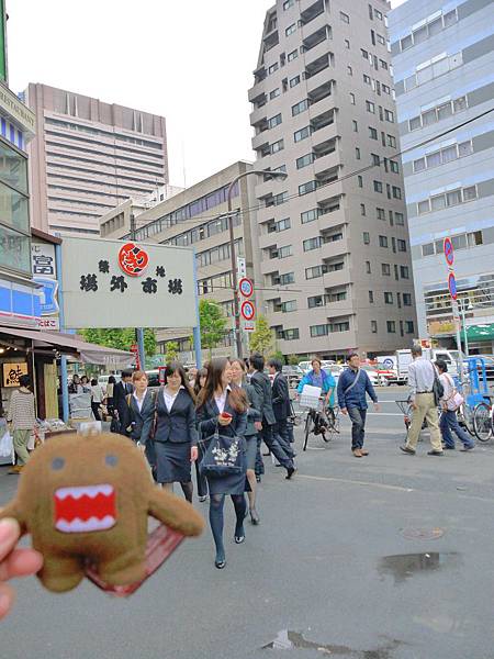 Domo陪你逛築地市場、本願寺