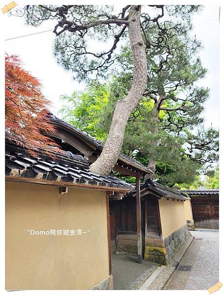 Domo陪你遊武家屋敷遺跡、吃もりもり寿し(金澤Day4