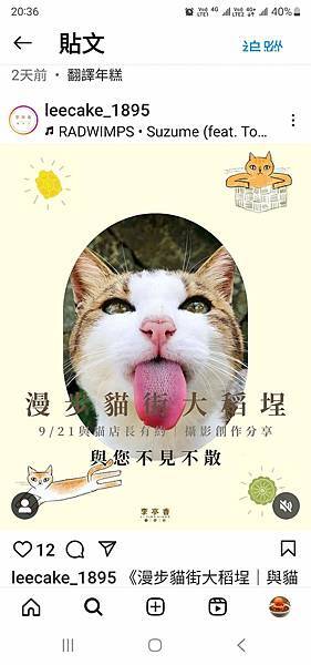 Domo陪你漫步貓街大稻埕(捷運大橋頭站) Domo陪你漫步貓街大稻埕(捷運大橋頭站)